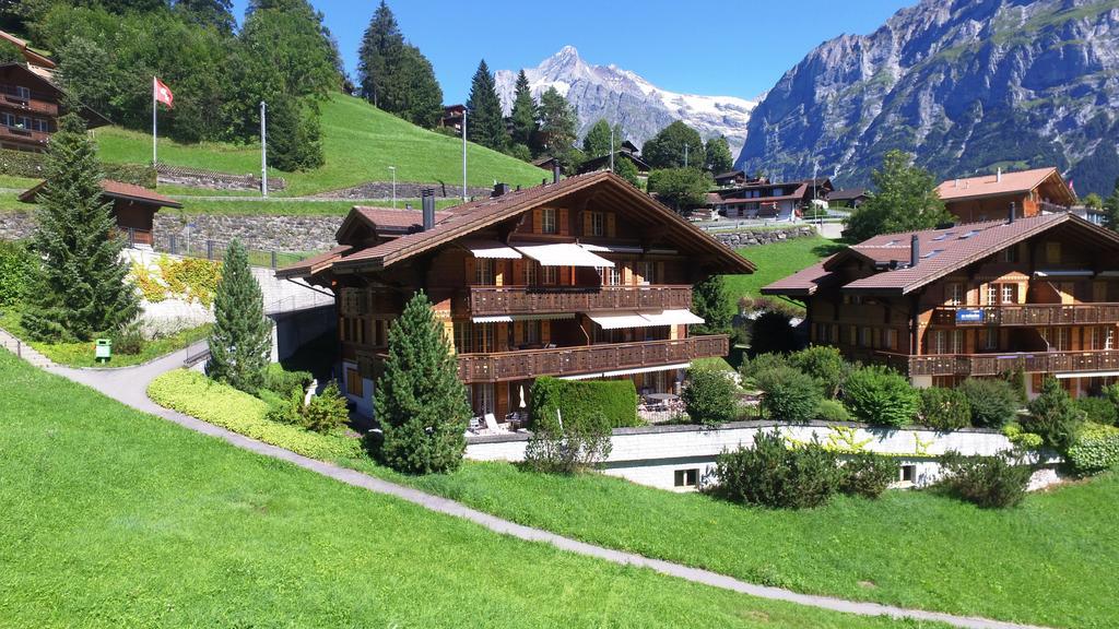 Apartment Chamonix - Griwa Rent Ag Гріндельвальд Екстер'єр фото